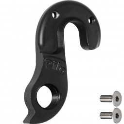 D697 derailleur hanger...