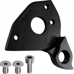D700 derailleur hanger...