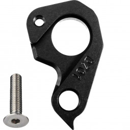 D701 derailleur hanger...