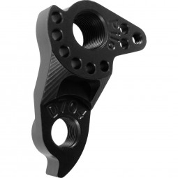 D704 derailleur hanger...