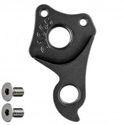 D1005 Derailleur hanger