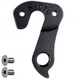D1077 derailleur hanger