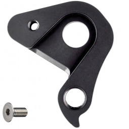 D1096 derailleur hanger