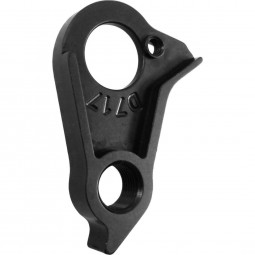 D717 CANYON derailleur...
