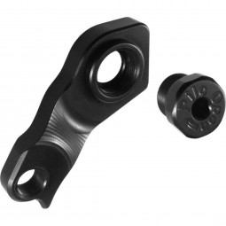 D724 derailleur hanger...