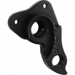 D725 derailleur hanger