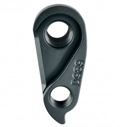 D989 Derailleur hanger