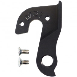 D731 derailleur hanger