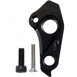 D742 GIANT derailleur hanger