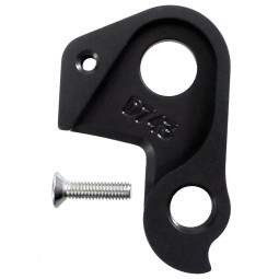 D743 derailleur hanger
