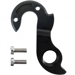 D745 derailleur hanger