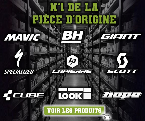 Pièce d'origine 