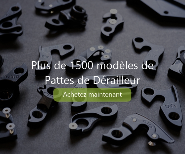 Plus de 1500 modèles de Pattes de Dérailleur